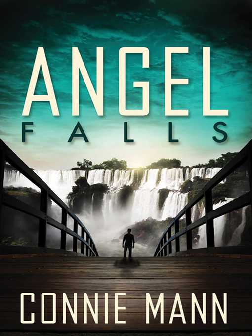 Title details for Angel Falls by Connie Mann - Wait list